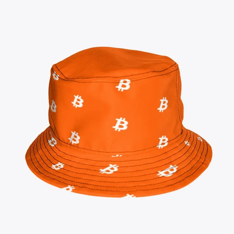 BITCOIN BUCKET HAD